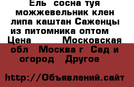 Ель, сосна,туя,можжевельник,клен,липа,каштан.Саженцы из питомника оптом. › Цена ­ 180 - Московская обл., Москва г. Сад и огород » Другое   
